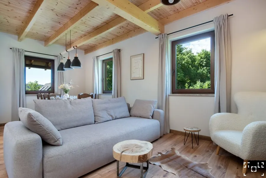 Bright living room with garden view