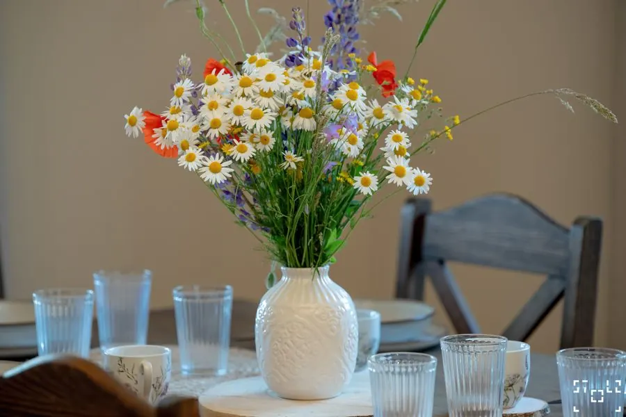 Bouquet of wild flowers