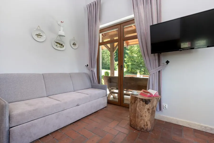 Sofa and TV